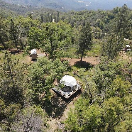 Dunlap Enchanted Forest Dome ,10-15 Minutes To Kings Canyons-New Pellet Stove For Cozy Warm Nights מראה חיצוני תמונה