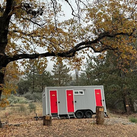 Dunlap Enchanted Forest Dome ,10-15 Minutes To Kings Canyons-New Pellet Stove For Cozy Warm Nights מראה חיצוני תמונה