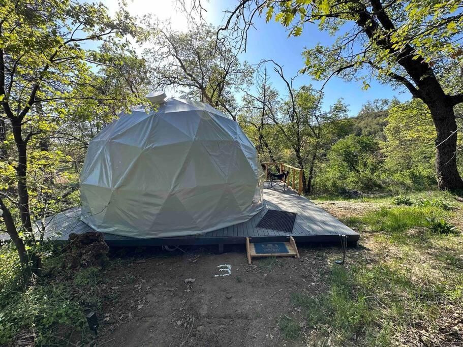 Dunlap Enchanted Forest Dome ,10-15 Minutes To Kings Canyons-New Pellet Stove For Cozy Warm Nights מראה חיצוני תמונה