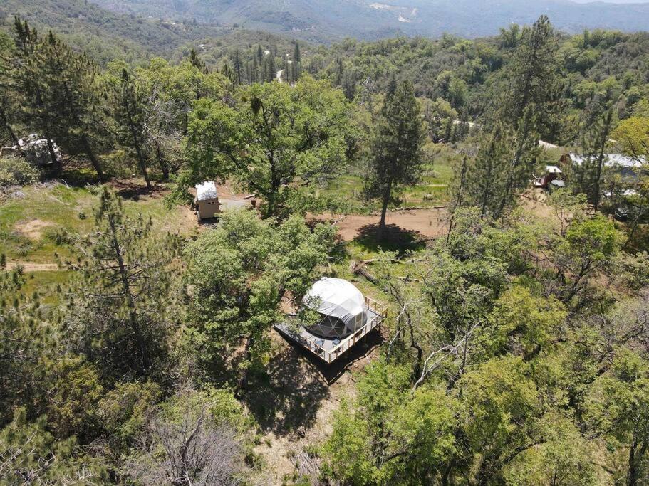 Dunlap Enchanted Forest Dome ,10-15 Minutes To Kings Canyons-New Pellet Stove For Cozy Warm Nights מראה חיצוני תמונה